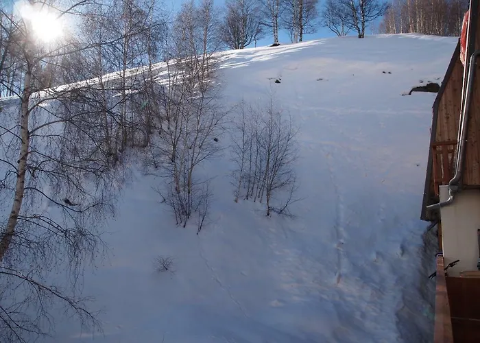 Alpine Hideout Апартаменты *